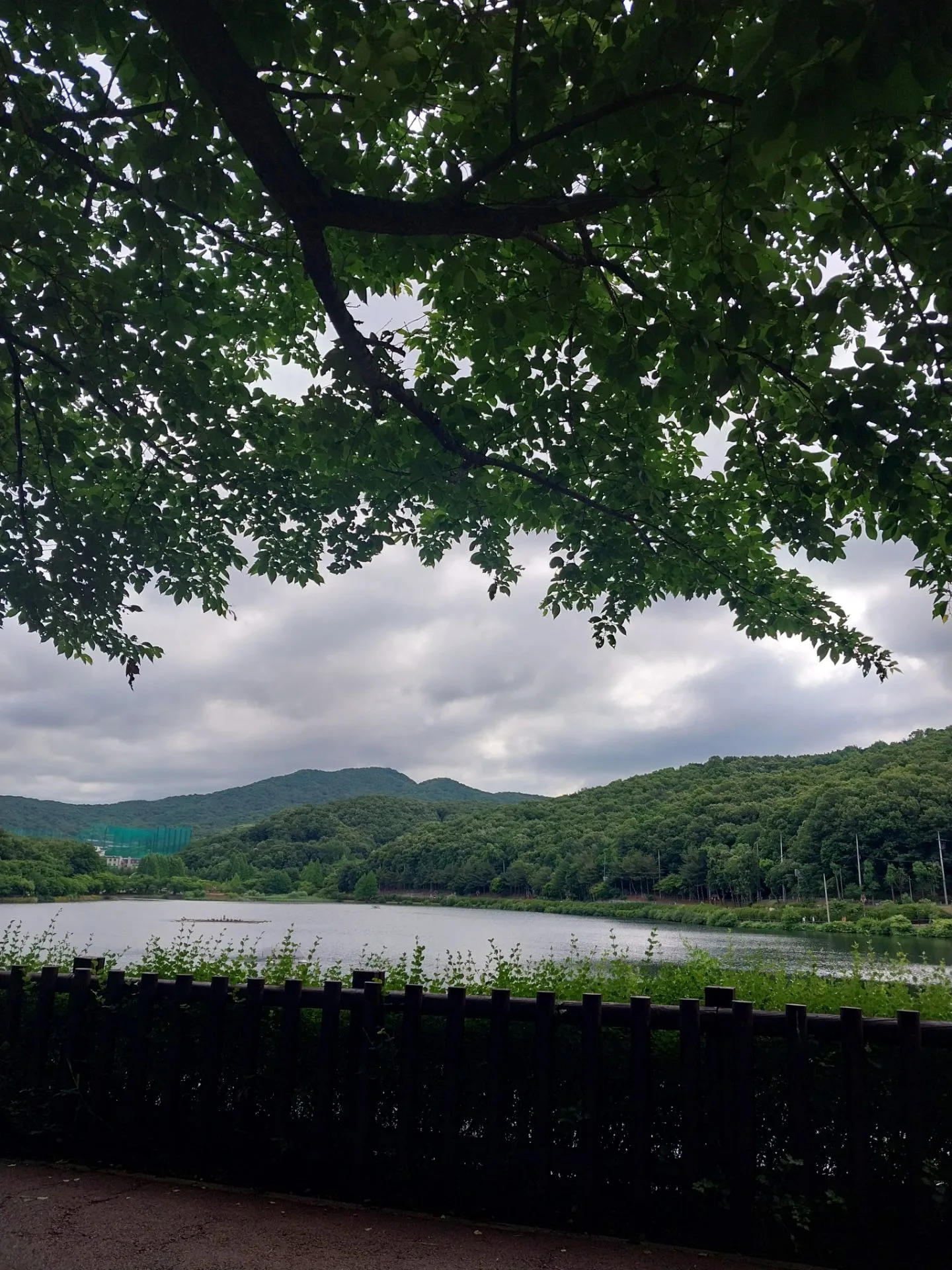 test mp 핸드폰 안드로이드 상태 43장 장당 8~12MB 이상 무 - 6