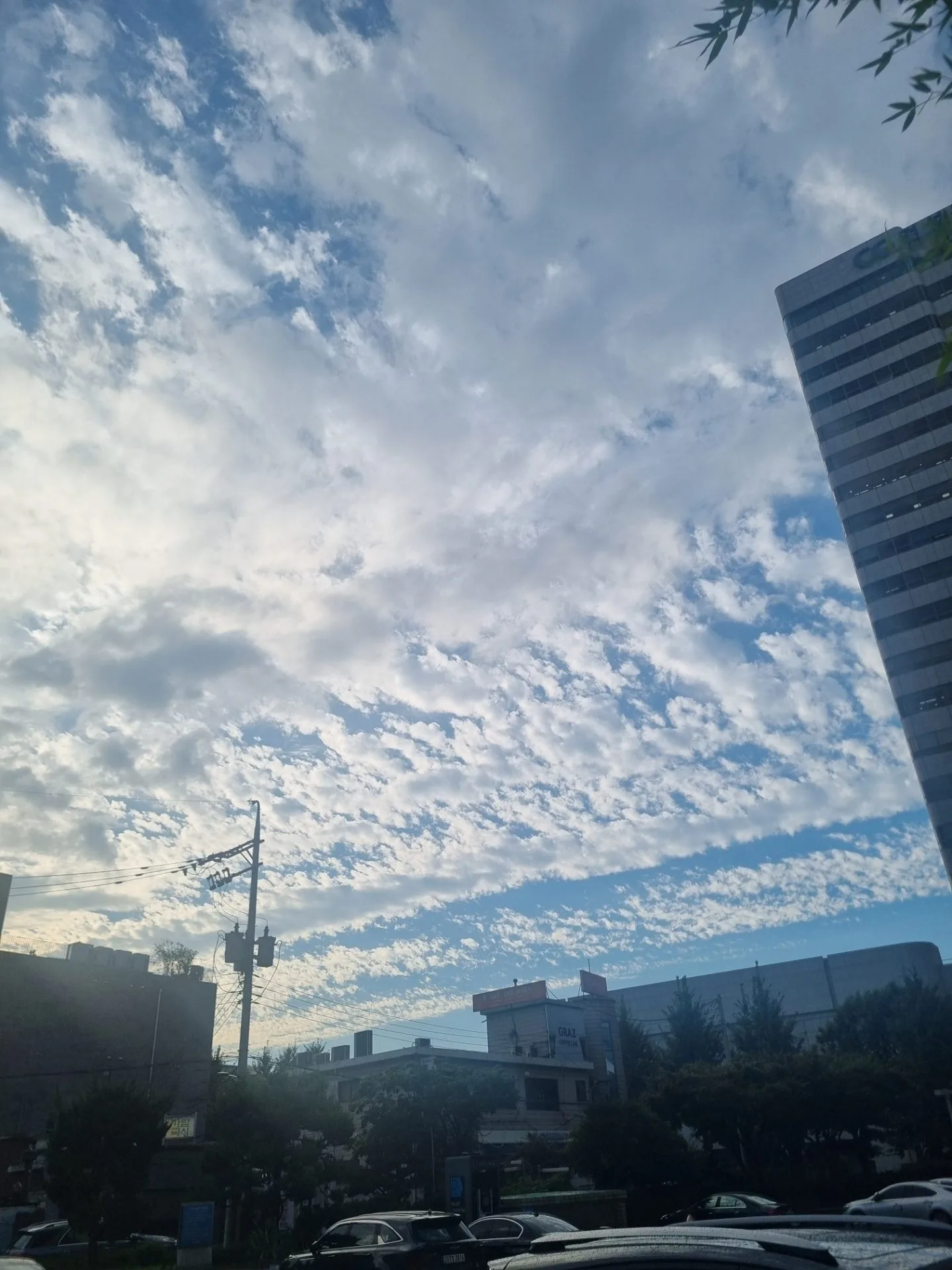 test mp 핸드폰 안드로이드 상태 43장 장당 8~12MB 이상 무 - 13