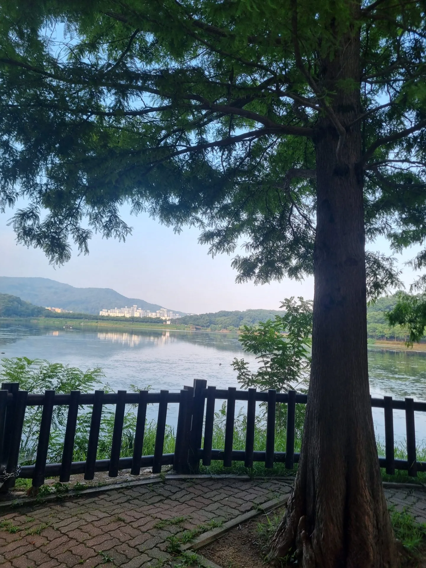 test mp 핸드폰 안드로이드 상태 43장 장당 8~12MB 이상 무 - 14