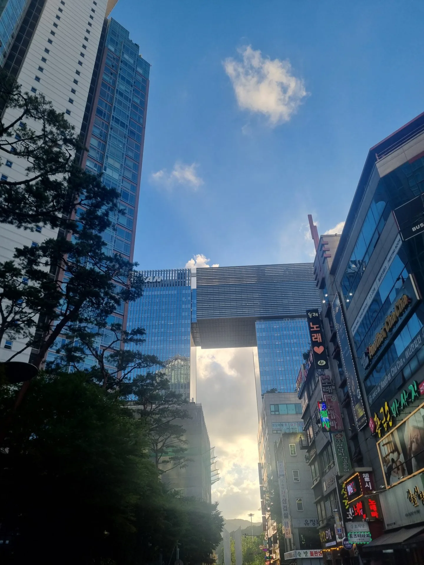 test mp 핸드폰 안드로이드 상태 43장 장당 8~12MB 이상 무 - 16
