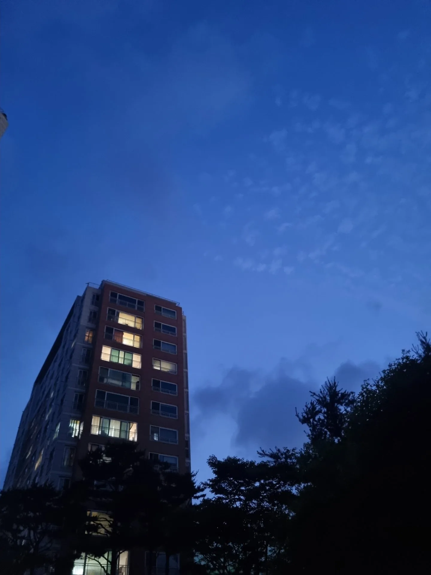 test mp 핸드폰 안드로이드 상태 43장 장당 8~12MB 이상 무 - 24