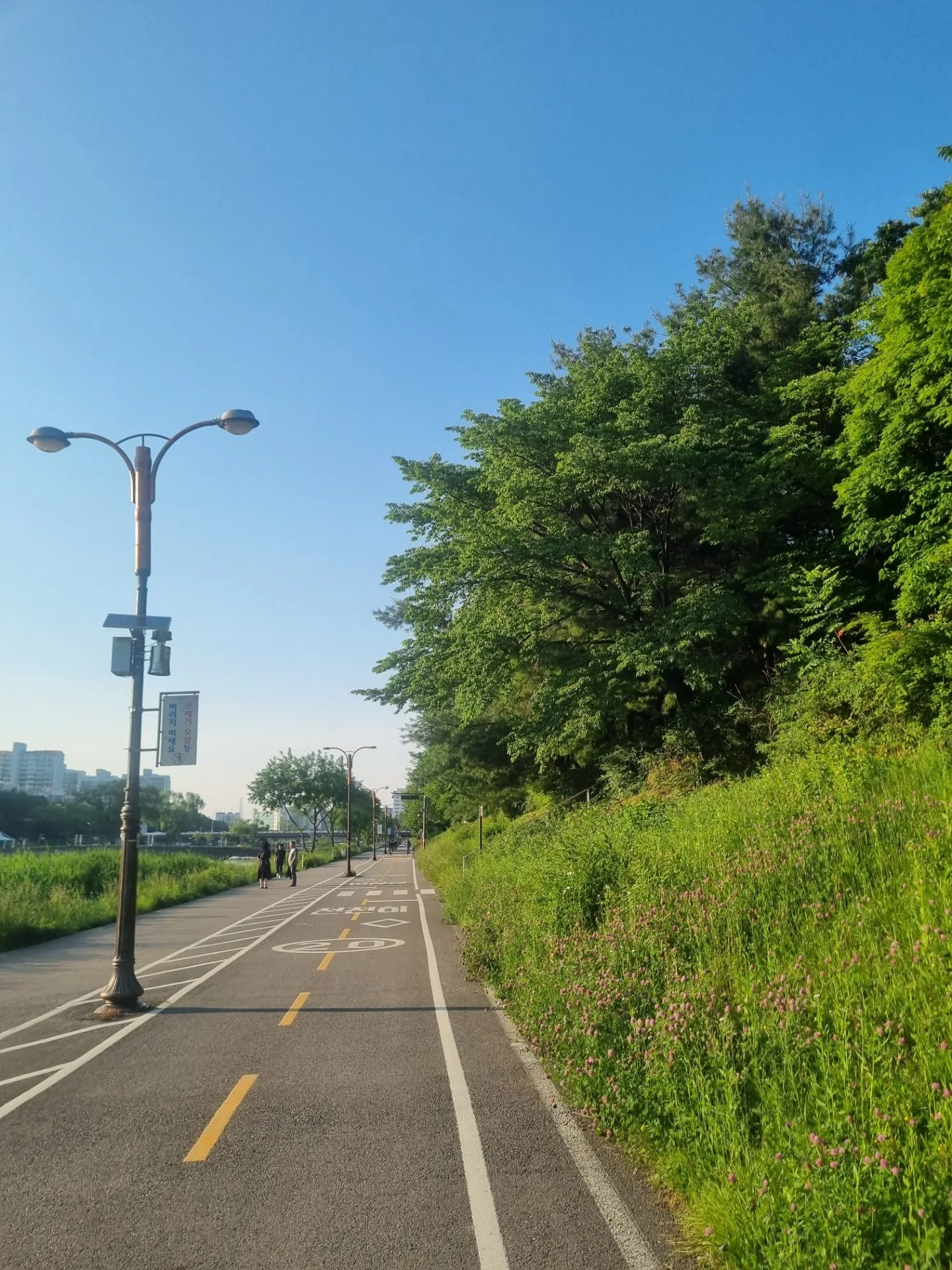 test mp 핸드폰 안드로이드 상태 43장 장당 8~12MB 이상 무 - 30