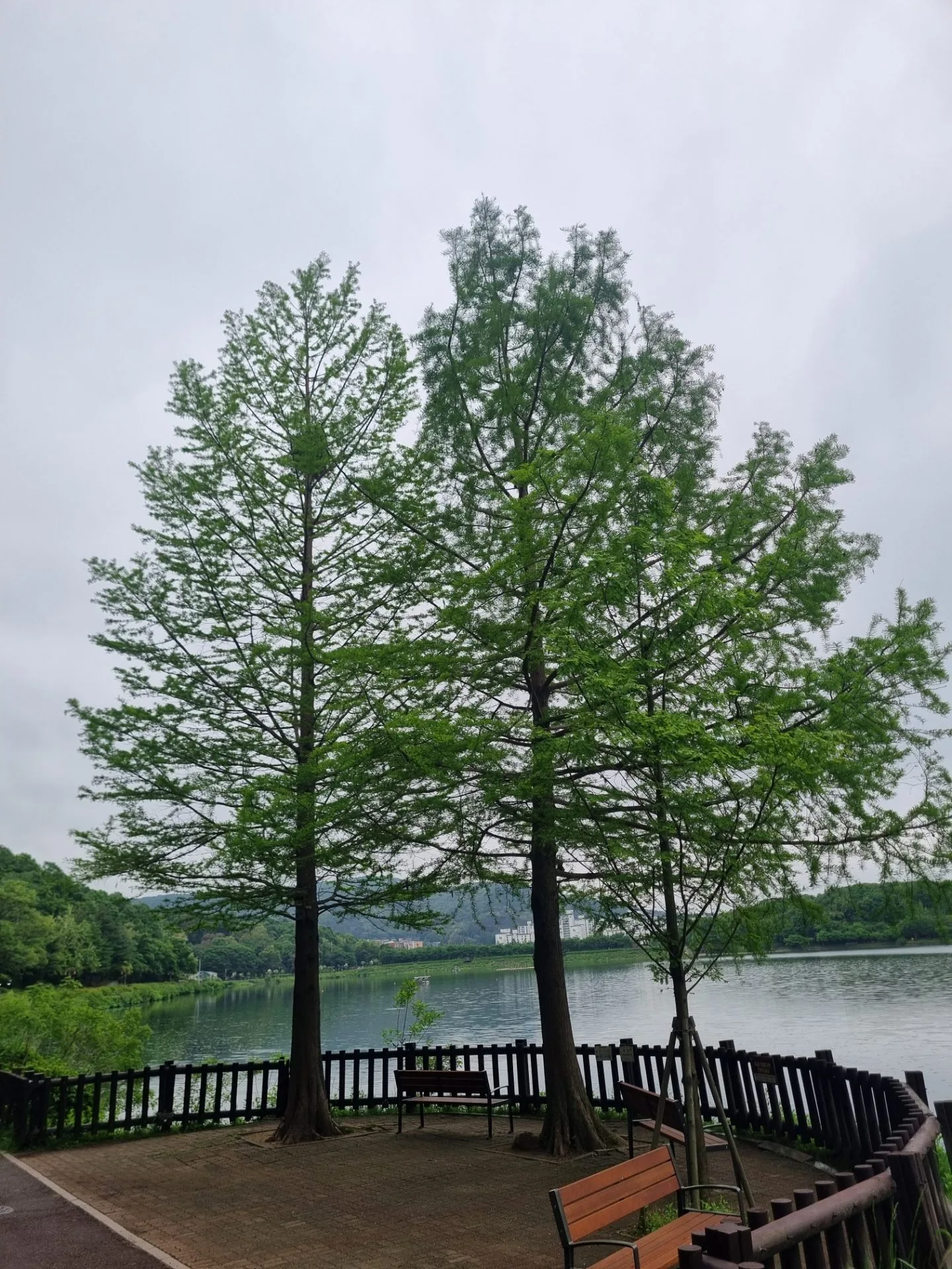 test mp 핸드폰 안드로이드 상태 43장 장당 8~12MB 이상 무 - 33