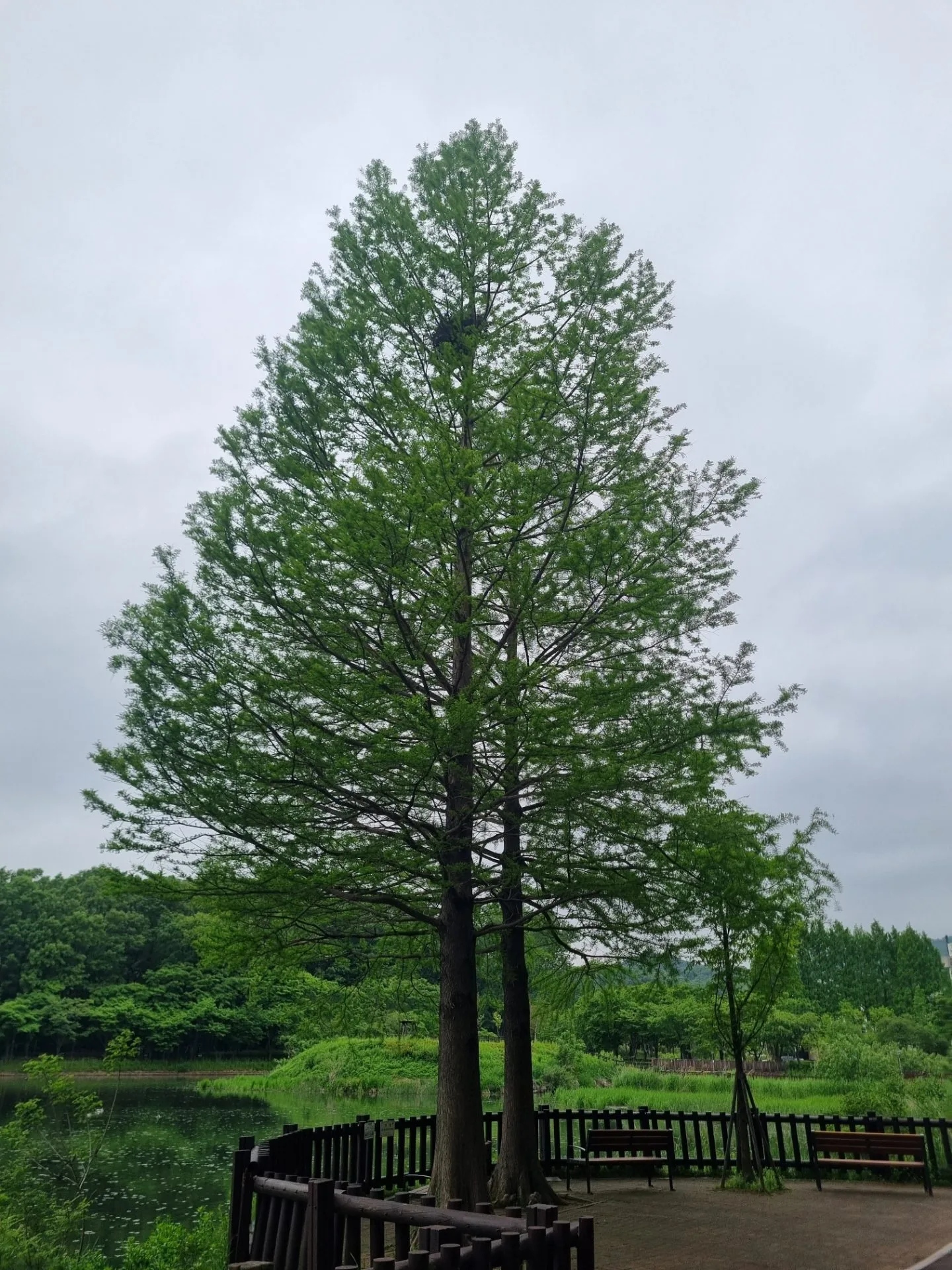 test mp 핸드폰 안드로이드 상태 43장 장당 8~12MB 이상 무 - 34
