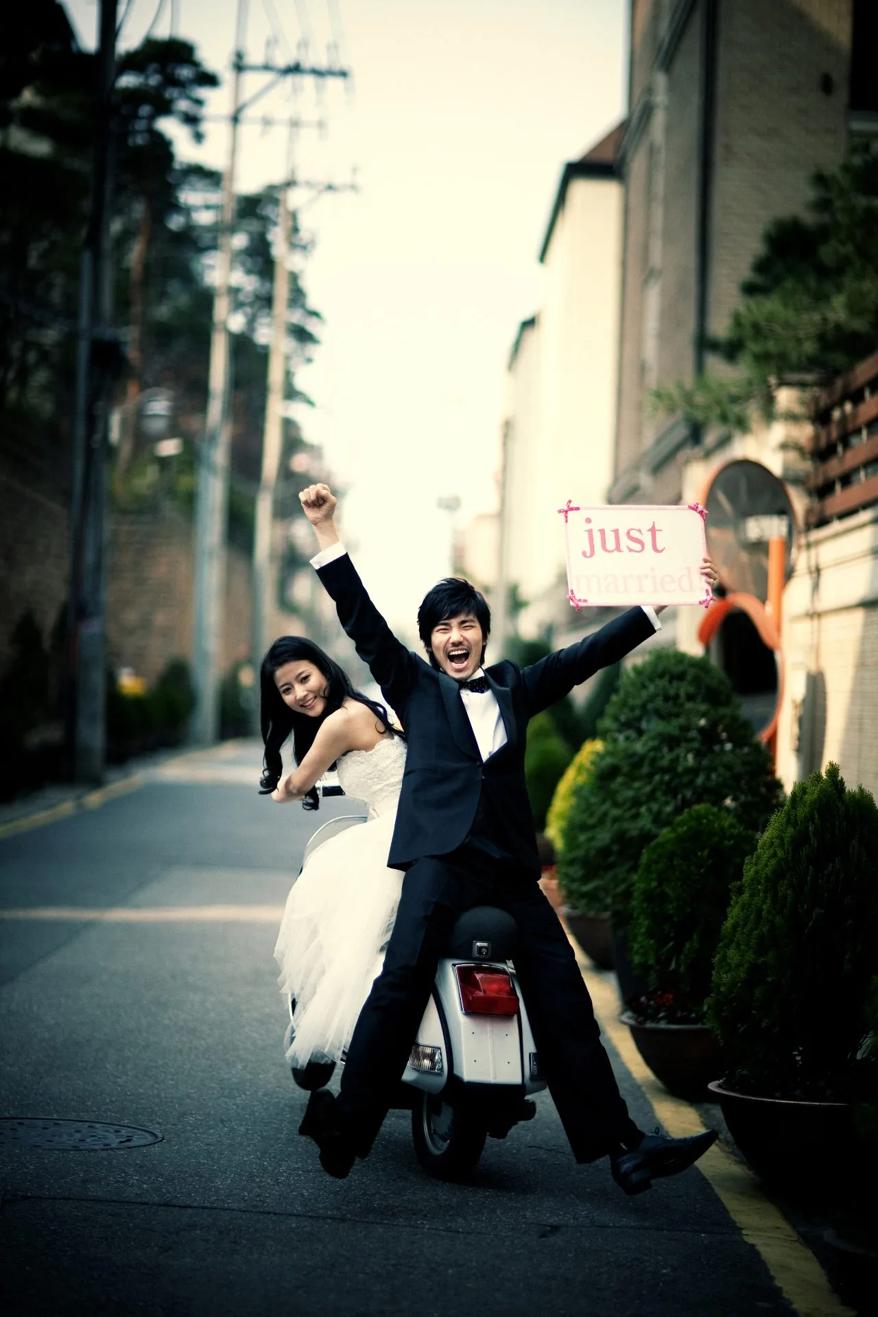 2008 New Sample metal 韩国婚纱照 photos - 9